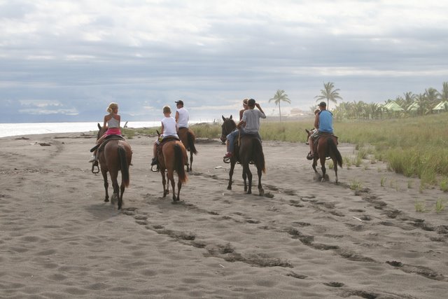 Horseback Riding on the Beaches of Panama